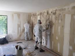  Mission Viejo, CA Mold Removal Services Pros